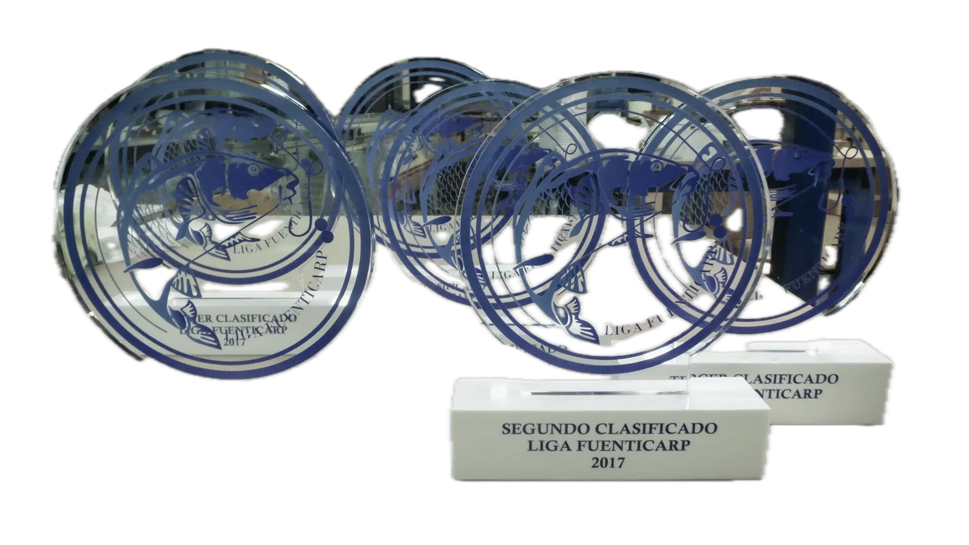 Fondo de “Trofeo Metacrilato 28” eliminado